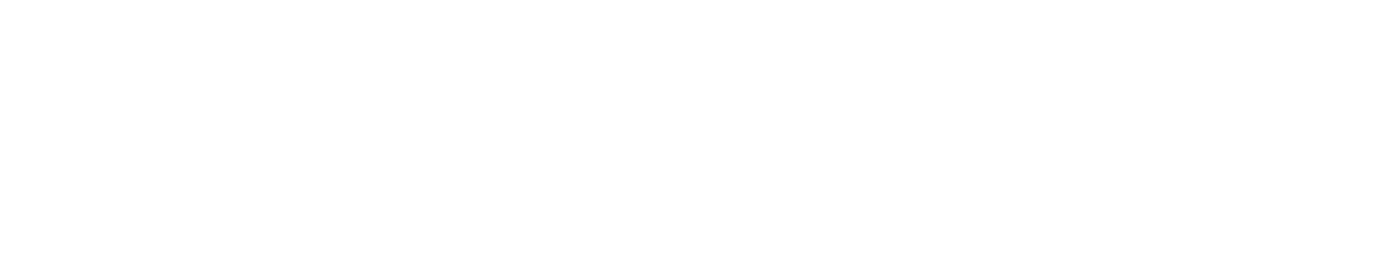 The University of Hong Kong